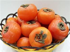 临泉贡柿