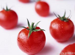 萬興村番茄