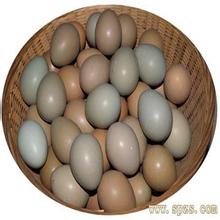 沂蒙山草鸡蛋