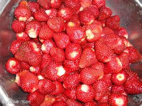 昌邑草莓