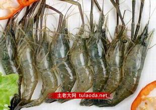 陆丰东溪虾