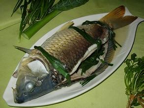 水族饮食和鱼