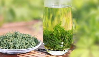 木魚綠茶