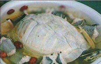 龟蛇大补汤