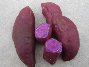 紫色紅薯