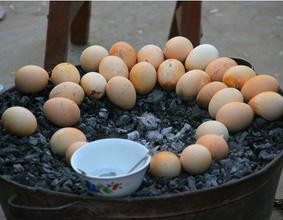 和田烤鸡蛋