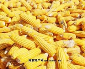 广平玉米