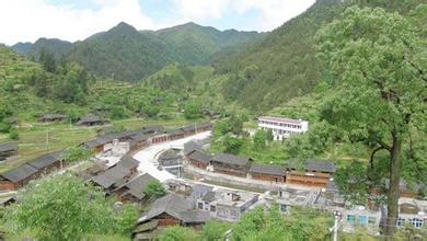 团龙贡茶文化村