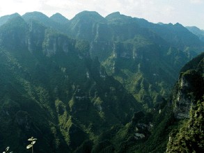 霸王谷景区