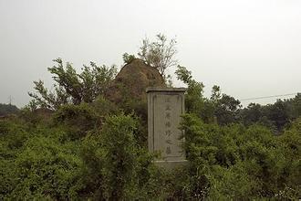 杨修墓