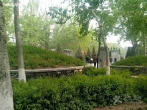 张养浩墓公园