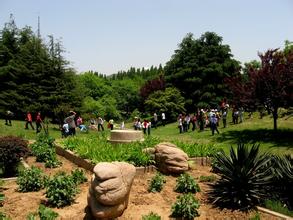 青岛植物园