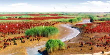 黄河口湿地生态旅游区