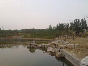 桂河湿地公园
