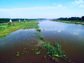 德州减河湿地景区