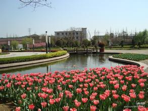 太湖生态花卉园