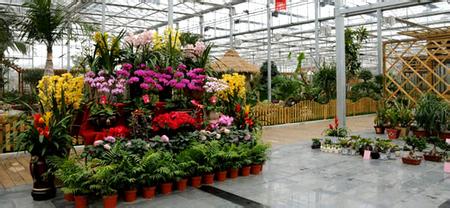 高港花卉园艺中心