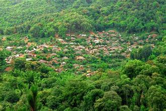 热带雨林自然保护区