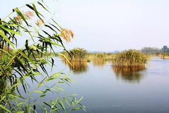 龙湖湿地风景区