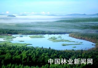 乌伊岭湿地自然保护区