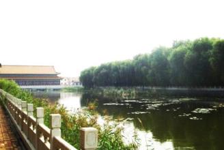 燕王湖湿地生态园