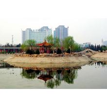 天津河西公園
