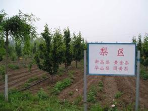 果树生态科技示范园