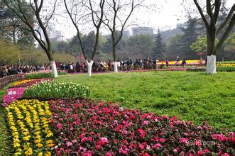 重庆花卉园
