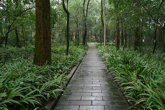 重慶林園
