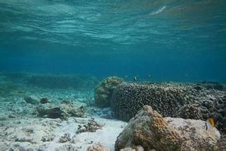 海南磷枪石岛自然保护区