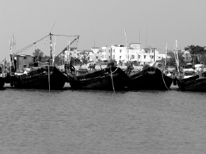 龙头沙渔港