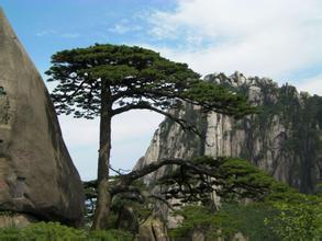 黄山玉屏景区