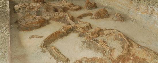 灵武恐龙化石遗址