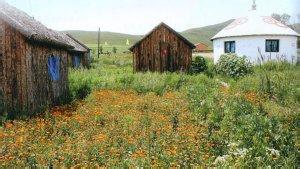 五台蒙古营民俗度假村
