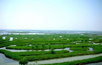 中华鲟自然保护区