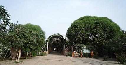 核桃王公园