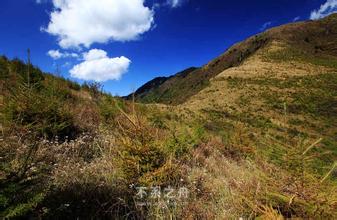 化龙山自然保护区