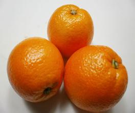 泸县甜橙