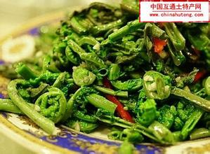 江口山野菜