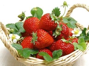 乳山草莓