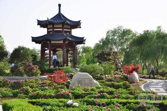隋唐城遗址植物园