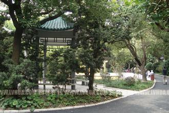 惠民公园