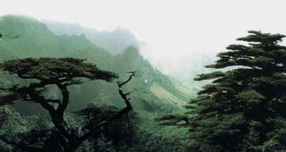 大平山自然保护区